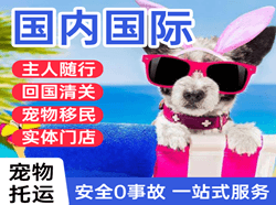 奔牛空运公司国际宠物托运 【国